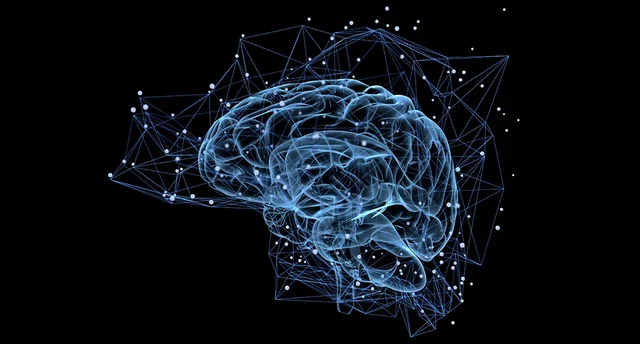 El desembolopament del cerbell