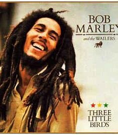 6.1. Bob Marley