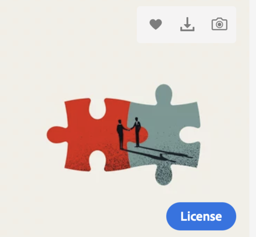 A Major Acquisition  - 2012