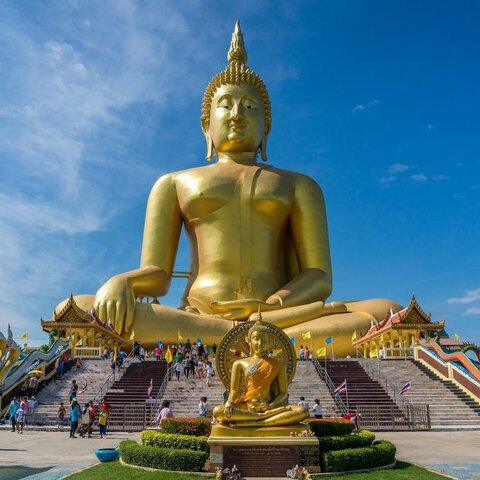 El animal simbólico