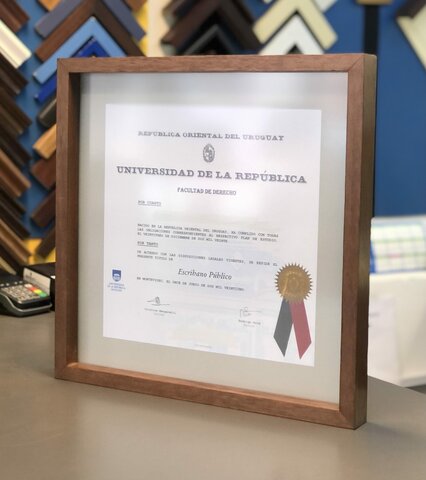 TITULO DE ESCRIBANO SE ADQUIRIA POR COBRO O HERENCIA.