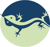 LISP (Lenguajes simbólicos declarativos funcionales)