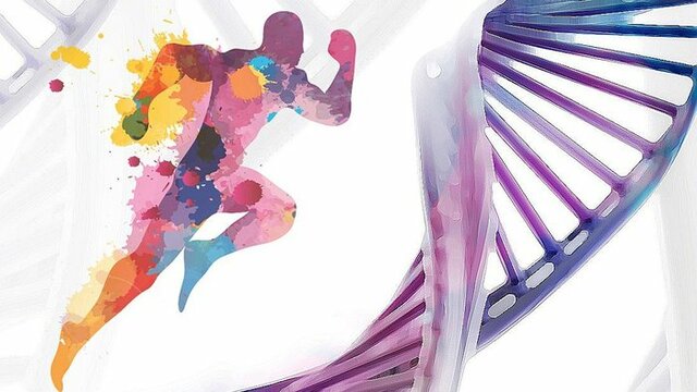 LAS CIENCAS DEL DEPORTE