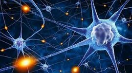 Timeline: U1. Actividad de aprendizaje para RA. Actividad 1: Foro ¿De dónde viene y para dónde va el cerebro?