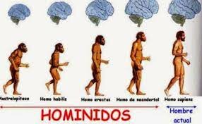 El surgimiento de los homínidos y de las características únicas de su cerebro.