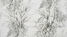 Timeline: Ckv tijdlijn