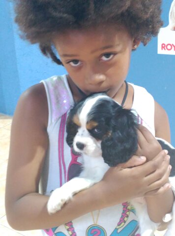 adoptem una preciositat