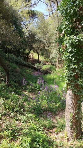 comprem un  terreny per anarnos a viure