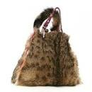 my dearest cat pinkeltje