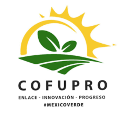 Timeline: Fundación PRODUCE y COFUPRO
