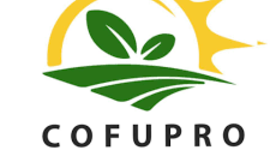 Timeline: Fundación PRODUCE y COFUPRO