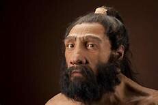 Homo neanderthalensis
