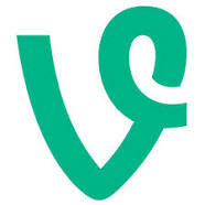 Vine