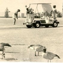 Quail Run Golf Course