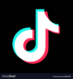 TikTok was launched