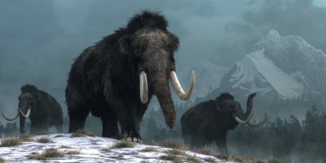 INICIO DE LA EDAD DE HIELO Hace 40 Millones de Años