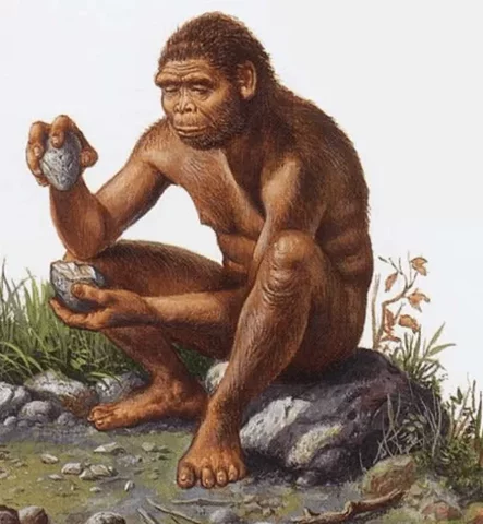 PRIMERA REVOLUCION TECNOLÓGICA- EDAD DE PIEDRA Hace 2.6 Millones de Años