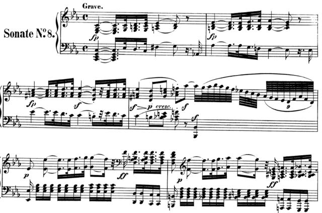 Nuevos signos y vocabulario específico