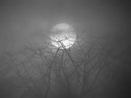 The Night and Fog Orders