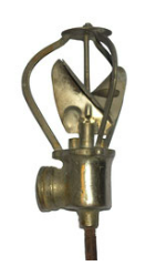 Tximeleta aspertsorea