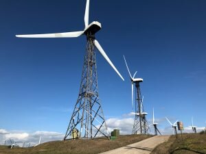 2 - 3 PALAKO ERROTAK