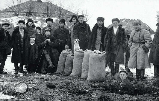 Crisi dell'agricoltura e carestia in Ucraina