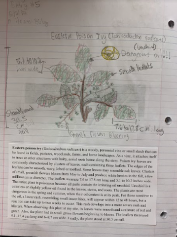 Mi Primer Proyecto de Biología