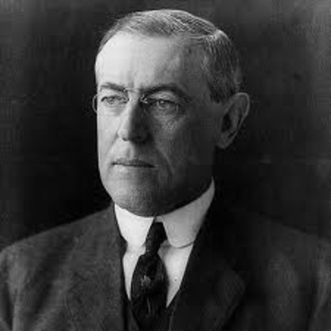 Woodrow Wilson elected president