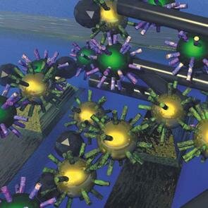 Informática Molecular