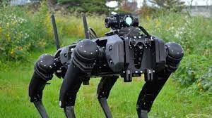 perros robot