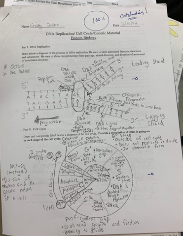 Prueba de Biología Importante