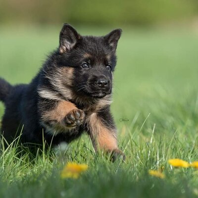 Timeline: Лента Интернет