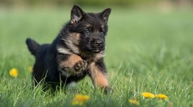 Timeline: Лента Интернет