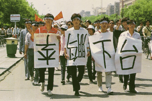 Student Protest, or Anti-government Protest?
