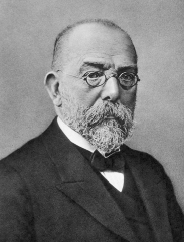 Publicación de la descripción de una bacteria inusual que podía reproducir la tuberculosis (R. Koch)