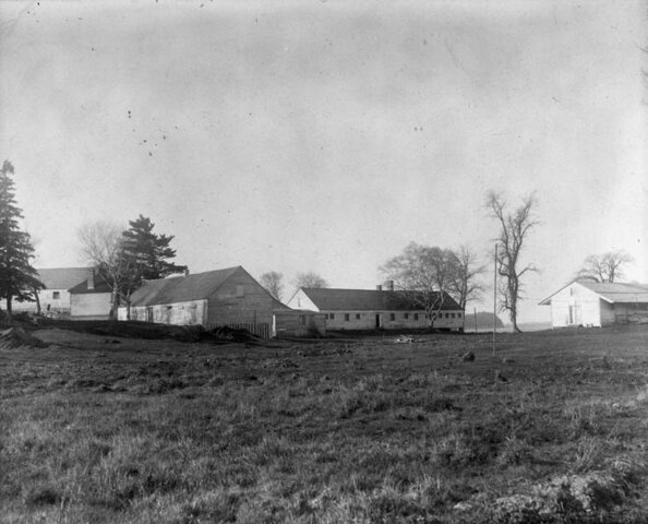 Immigration Britannique