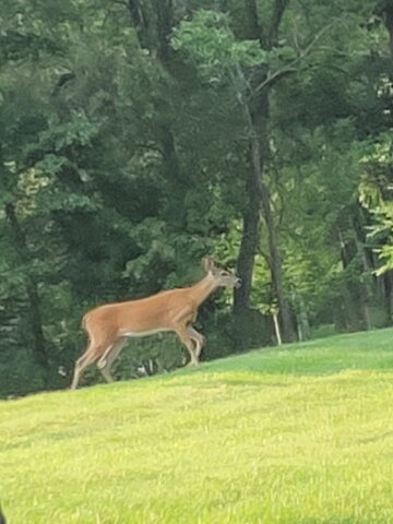Proyecto de Biología