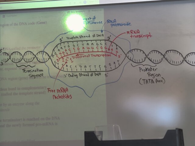 Academia de Westford