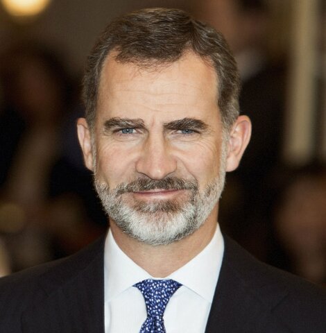 Acceso al trono del rey Felipe VI