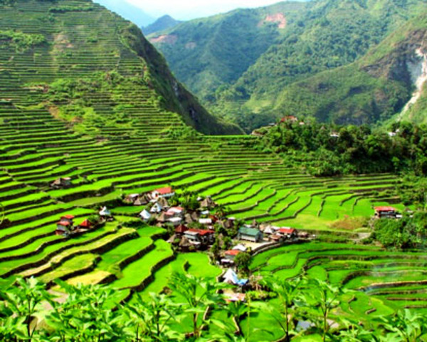 Terraces are Made to Grow Rice
