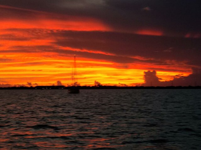 Florida con mis amigos