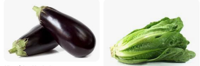 Desemvolupament de bases