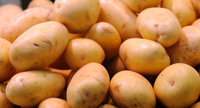 Cultivació de plantes