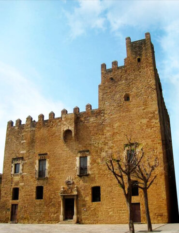 No nomès cuina al palau