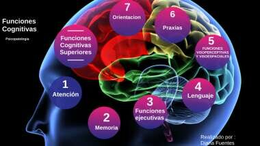 Funciones cognitivas superiores