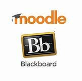 Schools had access to Blackboard and Moodle