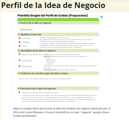 Perfil de la idea de negocio