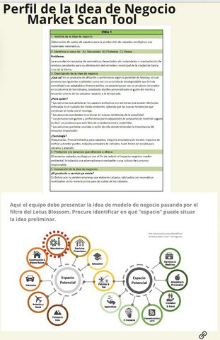Perfil de la idea de negocio - Market Scan Tool