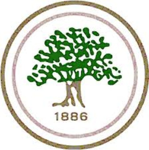 I went to year one in Dubai