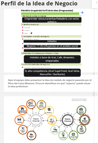 PERFIL DE LA IDEA DE NEGOCIO